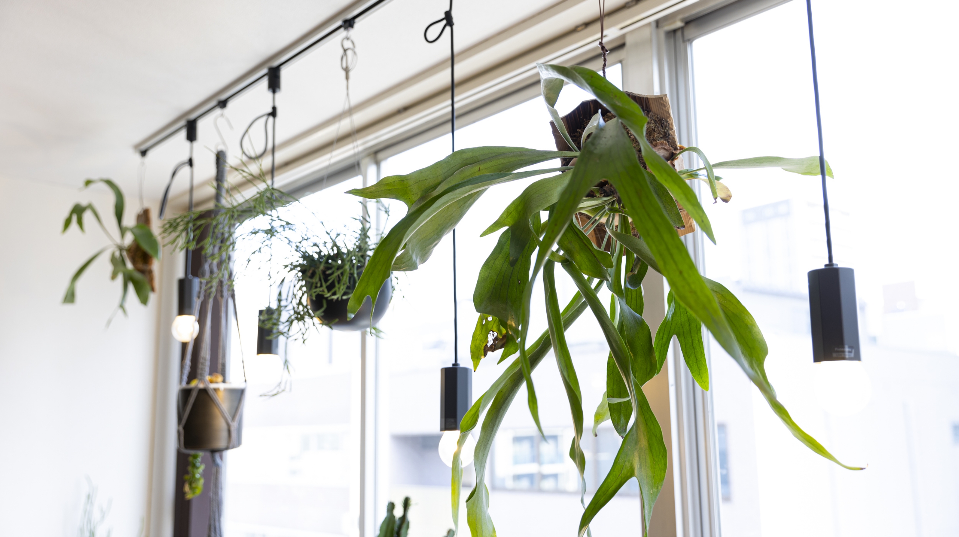 採用情報背景画像